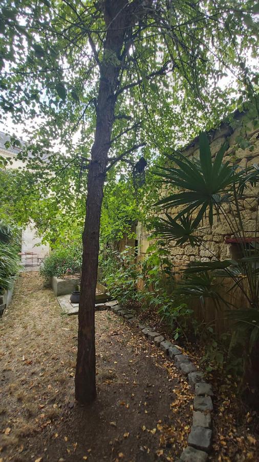 La Maison De Louise Chinon #Chateaux #Vignobles Εξωτερικό φωτογραφία