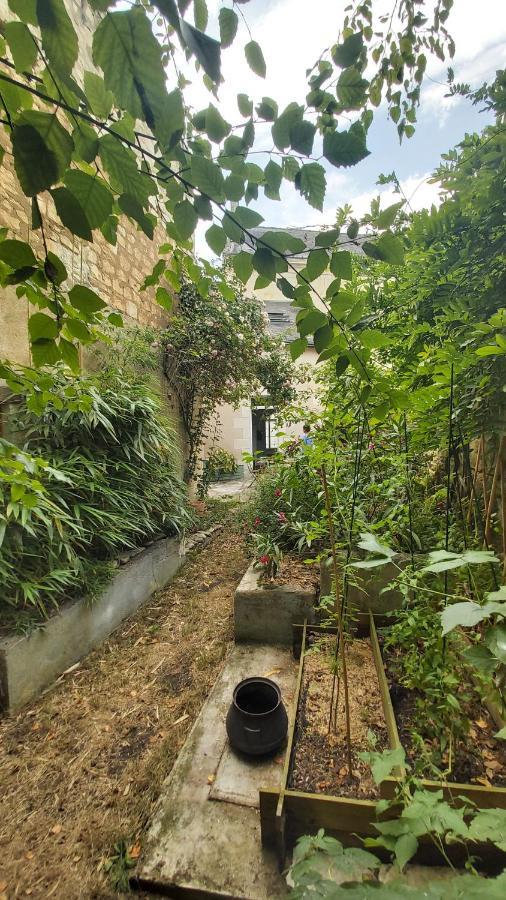 La Maison De Louise Chinon #Chateaux #Vignobles Εξωτερικό φωτογραφία
